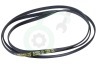 Ariston-Blue Air Wasmachine 36522, C00036522 Poly-V-snaar 1885 H6 TEM