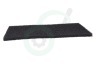 Blomberg Wasdroger 2952560100 Filter 220x125mm