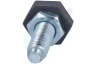 White westinghouse Wasdroger 434964 Stelpoot