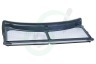 Laden Wasdroger C00685400 Filter In deur