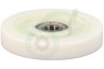 Aeg electrolux Wasdroger 1364059004 Loopwiel Voor trommel