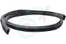 Haier Vaatwasser 49054028 Rubber Rondom