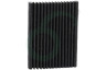 Electrolux Koelkast 4055853875 Filter Koolstoffilter