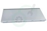 Electrolux Koelkast 140166294011 Glasplaat Compleet