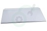 Electrolux Koelkast 140166294011 Glasplaat Compleet