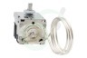 Siemens Koelkast 170219, 00170219 Temperatuur regelaar -6.5 -23