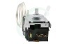 Siemens Koelkast 170219, 00170219 Temperatuur regelaar -6.5 -23