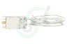 Essentielb Koelkast 4852157300 Thermostaat 3 cont. Cap.L= 135cm.