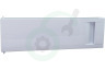Gorenje Koelkast 525637 Diepvriesdeur Compleet