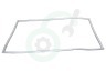 Liebherr Koelkast 7111174 Afdichtingsrubber Afdichting koelgedeelte, grijs