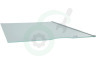 Liebherr Koelkast 7272674 Glasplaat Boven
