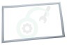 Bauknecht Koelkast 481946818384 Afdichtingsrubber Vriesgedeelte, wit