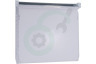 Whirlpool Koelkast 481010878428 Vrieslade Transparant, Schuiflade