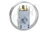 Bauknecht Koelkast 484000008683 A12 0504 B057