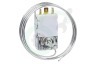 Bauknecht Koelkast 484000008683 A12 0504 B057
