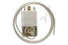 Goddess Koelkast 484000008690 Thermostaat K59 L2139