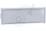 Airlux Koelkast 172763 Vriesklep Deur van vriesvak