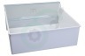 Gorenje Koelkast 588343 Groentelade Transparant
