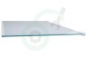 Electrolux Koelkast 2109403036 Glasplaat Compleet