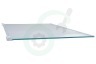 Electrolux Koelkast 2109403036 Glasplaat Compleet