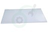 Electrolux Koelkast 2109403036 Glasplaat Compleet