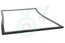 Dometic Koelkast 241301033 Afdichtingsrubber Zwart