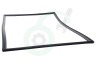 Dometic Koelkast 241301033 Afdichtingsrubber Zwart