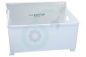 LG Koelkast AJP76458816 Vrieslade Big Freezing Zone