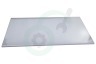 Haier Koelkast 49052851 0060841633 Glasplaat