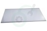 Haier Koelkast 49052851 0060841633 Glasplaat