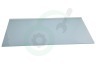 Haier Koelkast 49054658 0060305288 Glasplaat