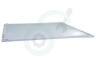 Hisense Koelkast HK1888631 Groentebakdeksel
