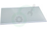 Gorenje Koelkast HK1995850 Glasplaat Compleet boven