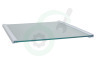 Hisense Koelkast HK2123839 Glasplaat Compleet