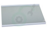 Hisense Koelkast HK2123839 Glasplaat Compleet