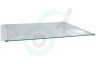 Hisense Koelkast HK1862149 Glasplaat Compleet, boven groentelade