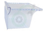 Hisense Koelkast HK1645651 Groentelade Transparant