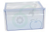 Hisense Koelkast HK1645651 Groentelade Transparant