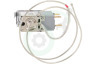 Hisense Koelkast HK2026667 Thermostaat