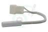 Hisense Koelkast HK1887583 Sensor Temperatuur sensor