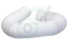 Universeel 61203900 Slang 150 mm wit -PVC+ALU-10mtr