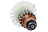 Dewalt N093107 Motor Anker, incl. poelie
