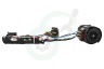 Dewalt N463936 Motor en Schakelaar