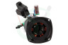 Dewalt N599252 Stator