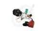 Dewalt NA077212 Motor