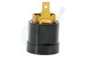 Dewalt 622440-00 Houder van koolborstel