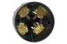 Dewalt N412223 Koolborstelset