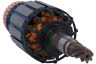 Dewalt N046420 Motor Anker van motor