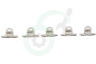 Deltafix 2660 Tourniquetsluiting 17 x 11mm Nikkel, 5 stuks