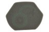Bosch Stofzuiger 12012937 Schuimfilter